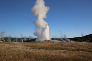 Eski sadık Şofben, Yellowstone Milli Parkı