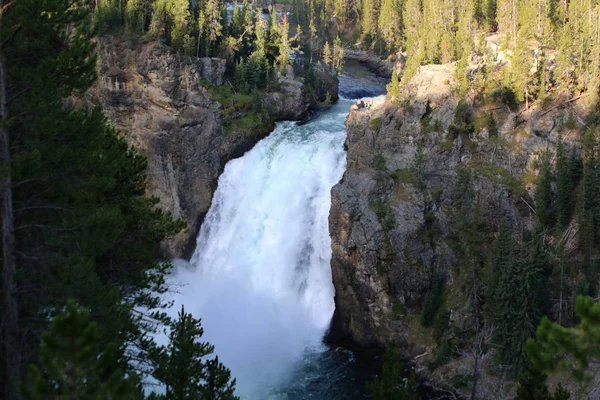 Gran Cañón de Yellowstone, Upper Falls — Foto de Stock