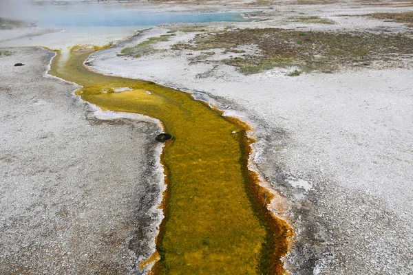 Black Sand Basin Area, Yellowstone National Park — стокове фото