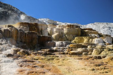 Mamut Baharı, Yellowstone Ulusal Parkı