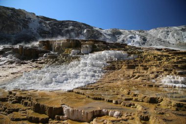 Mamut Baharı, Yellowstone Ulusal Parkı