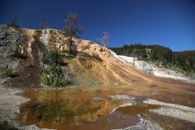 Mamut Baharı, Yellowstone Ulusal Parkı