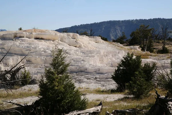 Mamut Spring, Parque Nacional de Yellowstone — Foto de Stock