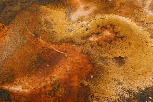 De kleurrijke kleuren van de geothermische zwembaden van Yellowstone gemaakt door de verschillende bacteriële flora — Stockfoto