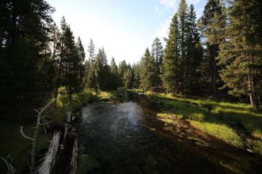 Yangın çukuru nehri, Yellowstone Ulusal Parkı