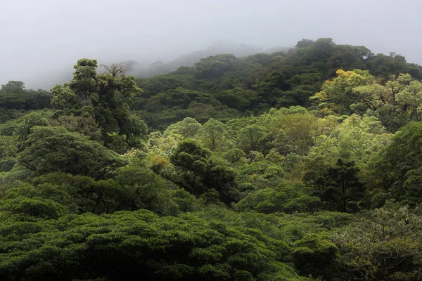 El paisaje del bosque lluvioso de Monteverde, Costa Rica — Foto de Stock