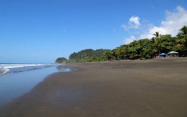 Kosta Rika 'nın güzel sahilleri.