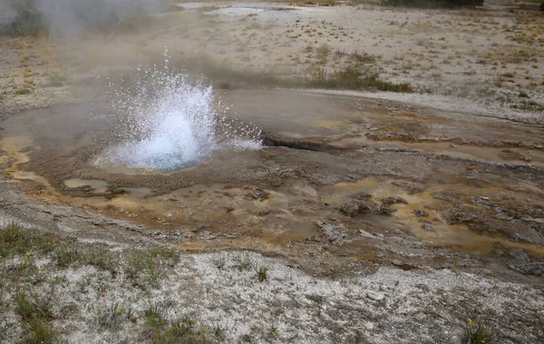 Piscina termale lungo il fiume Firehole nella zona Old Faithful, Yellowstone N.P . — Foto Stock