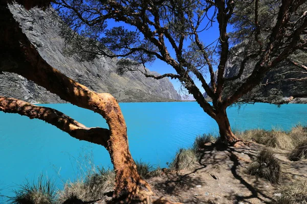 Paisajes peruanos, Parque Nacional Huascaran — Foto de Stock