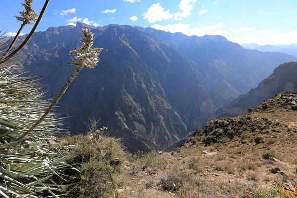 Panoramatický výhled na Colca Canyon, Peru — Stock fotografie