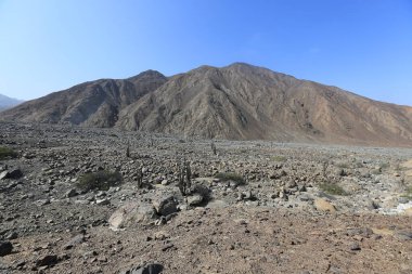 Peru 'daki Cordillera Negra' nın manzarası