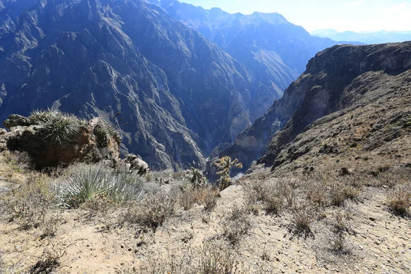 Panoramiczny widok na kanion Colca, Peru — Zdjęcie stockowe