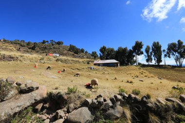 Titicaca Gölü 'ndeki Taquile Adası