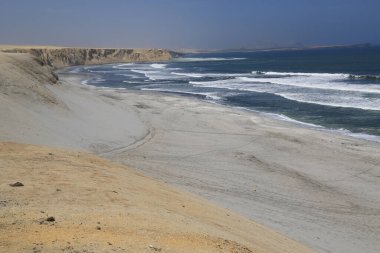 Paracas 'ın muhteşem doğal rezervi, Peru