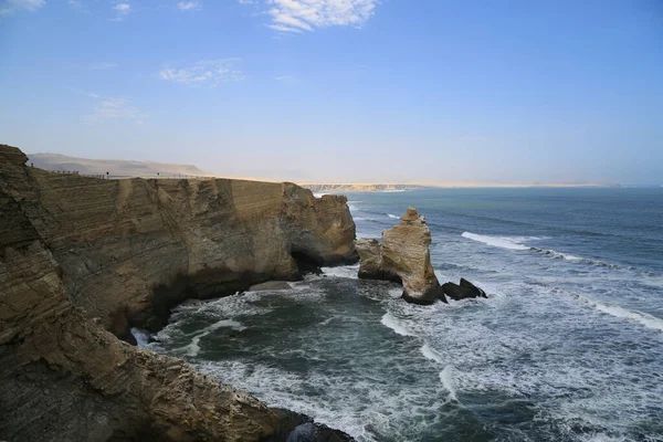 Das herrliche Naturreservat Paracas, Peru — Stockfoto