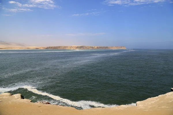 Wspaniały rezerwat przyrody Paracas, Peru — Zdjęcie stockowe