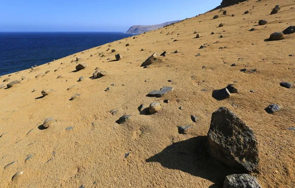 The splendid natural reserve of Paracas, Peru — Stock Photo, Image