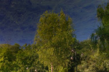 İtalya, Livenza Nehri 'ndeki suyun büyüsü