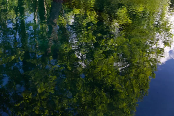 Italien, das herrliche tiefgrüne Wasser des Flusses Livenza — Stockfoto