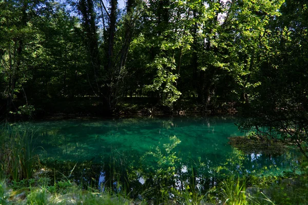 Italy, the splendid deep green waters of the Livenza river — Stock Photo, Image