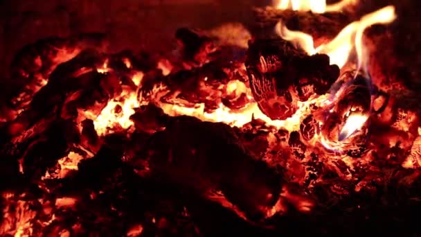 Lidah Api Dan Kerlipan Batu Bara Dalam Tungku — Stok Video