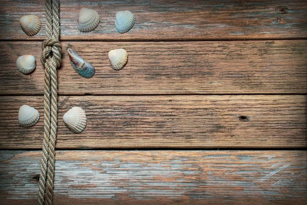 Rope Knot Seashells Background Old Wood Copy Space — Stock Photo, Image