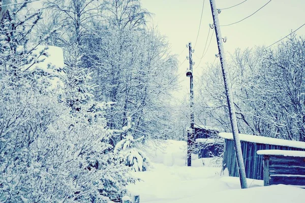 Vintage Vinterlandskap Med Snöiga Träd Och Träbyggnader — Stockfoto