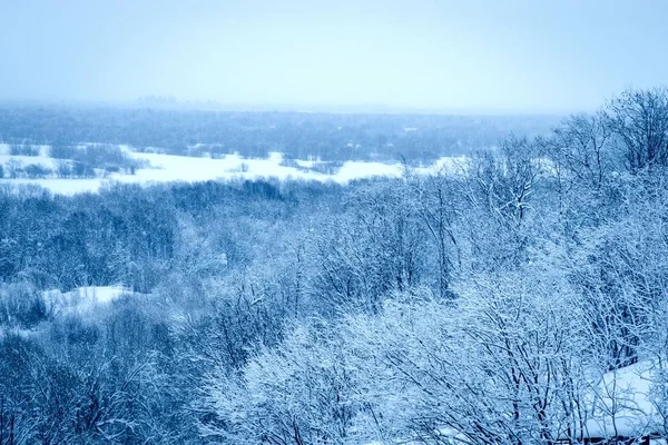 Schöne Winterlandschaft Mit Schneebedeckten Bäumen Blick Von Oben — Stockfoto