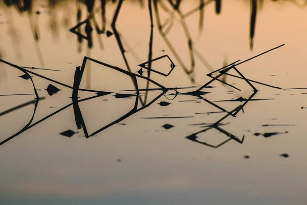 Morgenlandschaft Mit Einer Wasseroberfläche Der Sich Himmel Und Schilf Spiegeln — Stockfoto