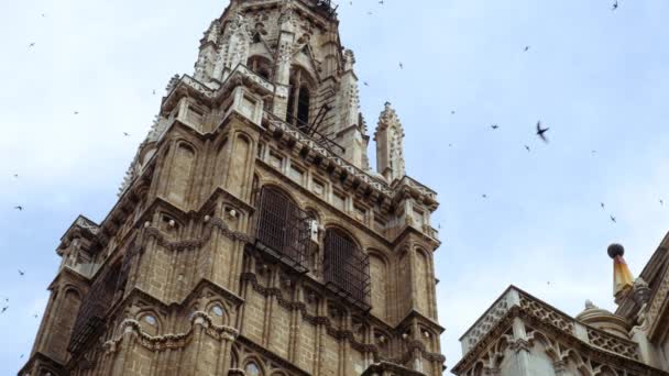 Primater katedralen saint Mary av toledo — Stockvideo