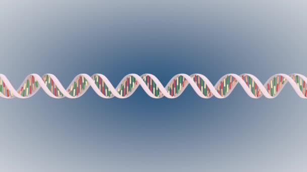 Dna 复制与重组的动画 — 图库视频影像