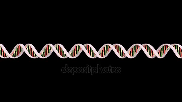 Animering Dna Replikation Och Rekombination — Stockvideo