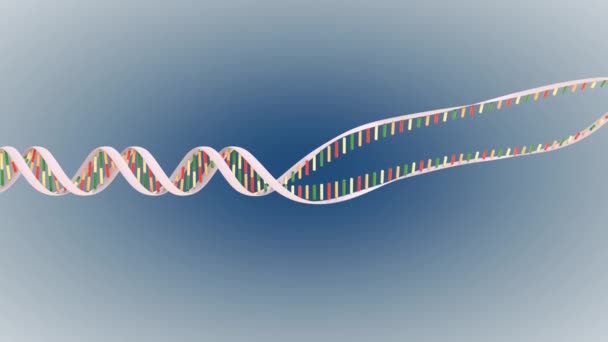 Animatie Van Dna Replicatie Recombinatie — Stockvideo