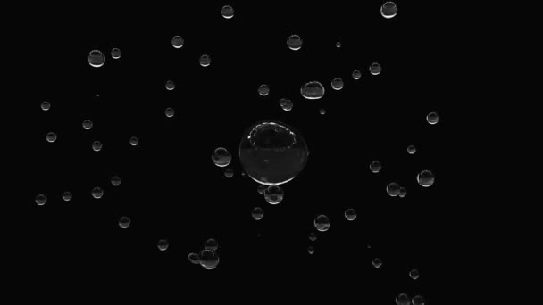 黑色背景下的透明水滴下降 — 图库视频影像