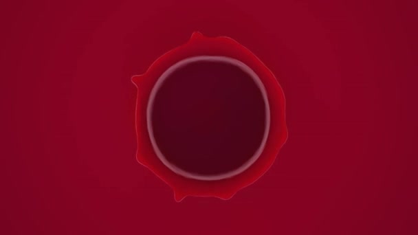 赤い液体の中に落ちて小さなドロップのビュー — ストック動画