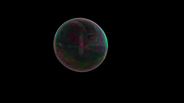 Soap Bubble Black Background — Stock Video