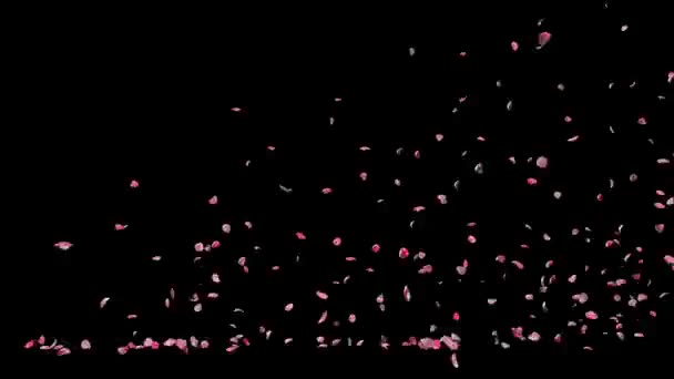 風に乗って美しい花弁が — ストック動画