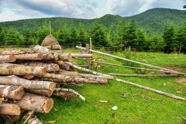 Kırsal dağ manzarası. Doğanın güzelliği.