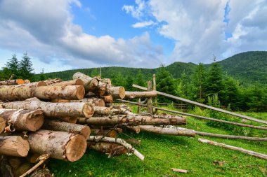 Kırsal dağ manzarası. Doğanın güzelliği.