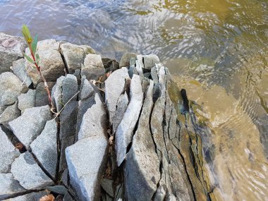 Nehirli güzel dağ manzarası