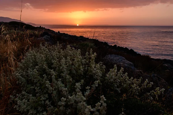 A delightful sunset on the seashore — Stock Photo, Image