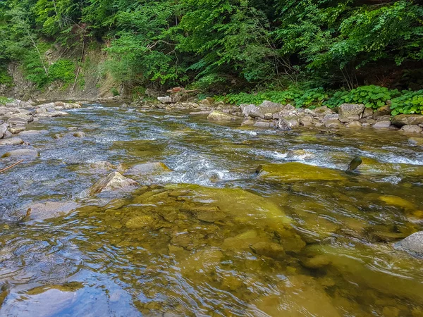 Красивий гірський пейзаж з річкою — стокове фото