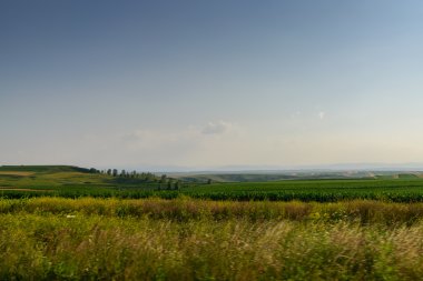Güzel manzara, alanlar ve çayırlar
