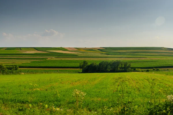 Beau paysage, champs et prairies — Photo