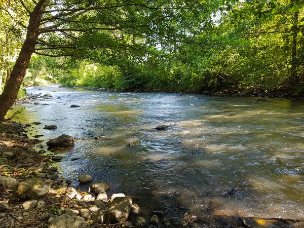 Gyönyörű, a rock, a gyors folyó — Stock Fotó