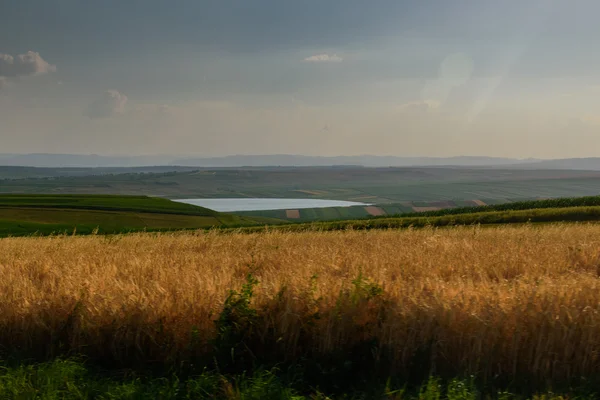 Beau paysage, champs et prairies — Photo