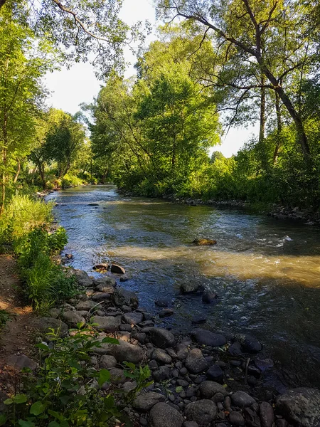 Hermoso, roca, río rápido — Foto de Stock