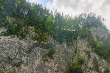 Güzel dağ geçidi. Doğanın güzelliği.
