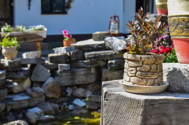 Güzel çiçeklerle peyzaj