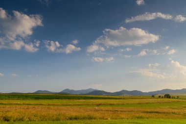 En iyi çayır ve alan
